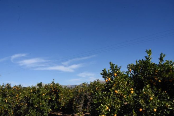 Archivfoto (© Eurokinissi)