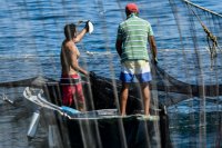 Unser Archivfoto (© Eurokinissi) entstand in der Nähe der mittelgriechischen Stadt Preveza.