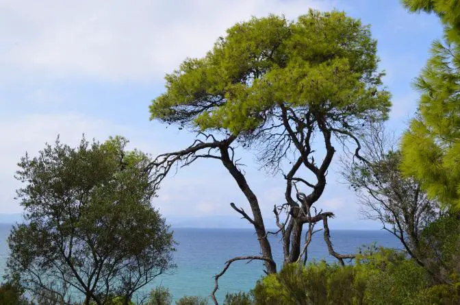 Das Wetter für Athen und ganz Griechenland