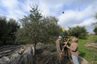 Archivfoto (© Eurokinissi)