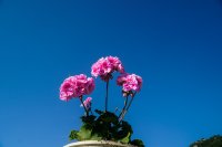 Sommerliche Temperaturen zum Dahinschmelzen