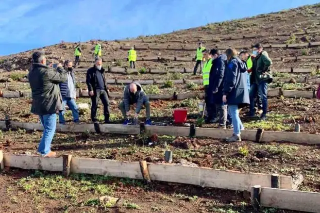 Foto (© gtp): Im Gebiet von Limni Evias wurden 4.000 Bäume gepflanzt