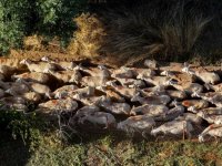  Foto (© Eurokinissi)