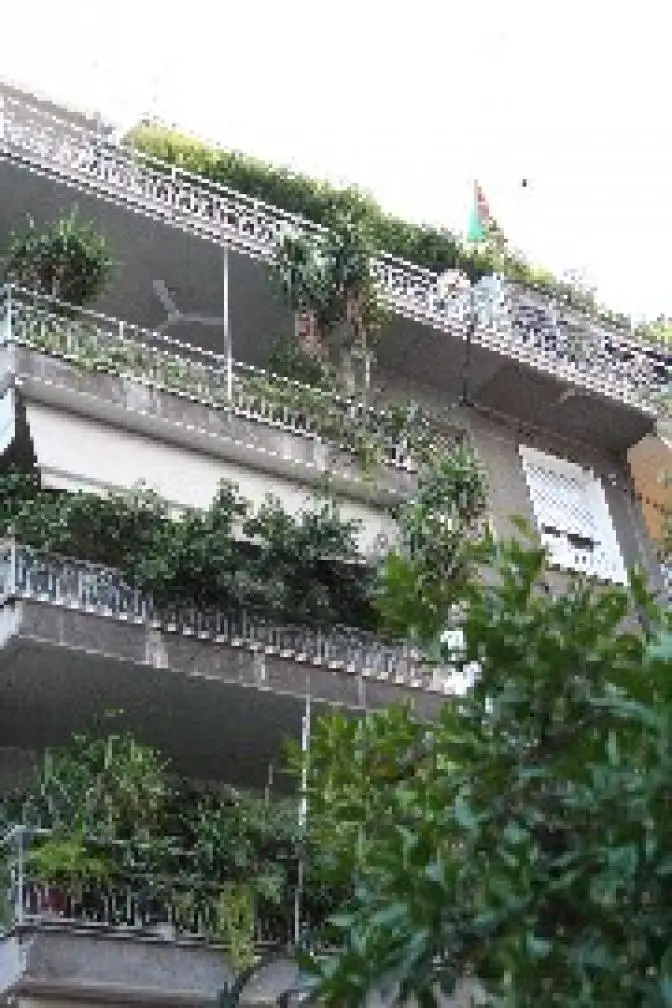 Erste Ausstellung für „grüne Dachterrassen“