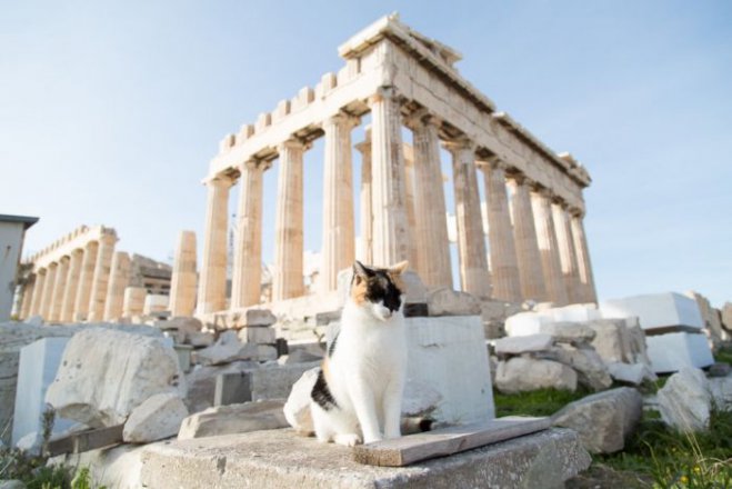 Unser Foto (© Griechenland Zeitung / Eleni Kougionis) zeigt die Akropolis von Athen.