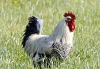 Archivfoto (© Eurokinissi)