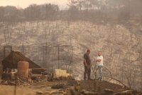 Unser Archivfoto (© Eurokinissi) entstand 2023 im Evros-Gebiet im Nordosten Griechenlands.