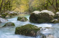 Foto (© gtp): Voidomatis bei Zagori