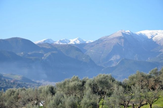 Archivfoto (© GZ/jh)