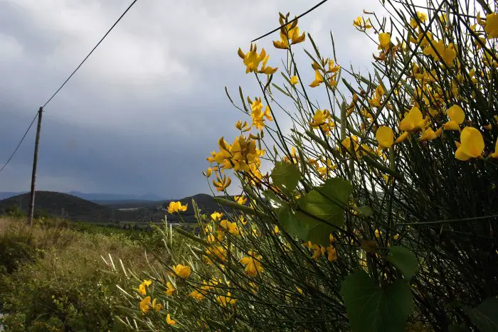 Warmer Tag mit Regen in Hellas