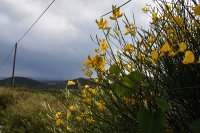 Warmer Tag mit Regen in Hellas