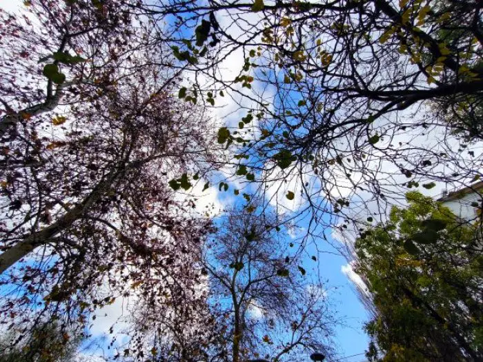 Foto (© Eurokinissi)