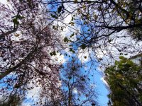 Foto (© Eurokinissi)