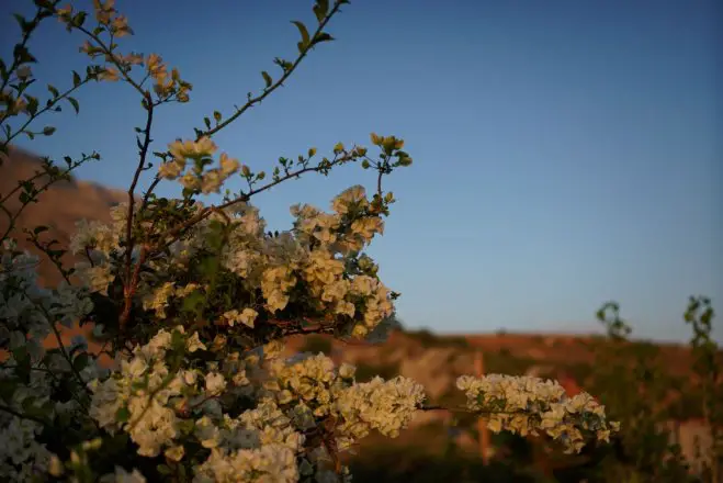 Archivfoto (© Griechenland Zeitung / Jan Hübel)