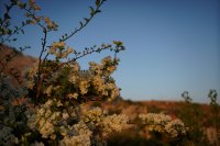 Archivfoto (© Griechenland Zeitung / Jan Hübel)
