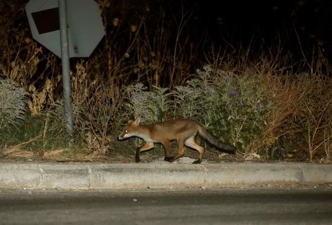 Beispielfoto (© Eurokinissi)