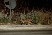 Beispielfoto (© Eurokinissi)