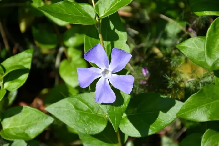 Archivfoto (© Griechenland Zeitung / jh)