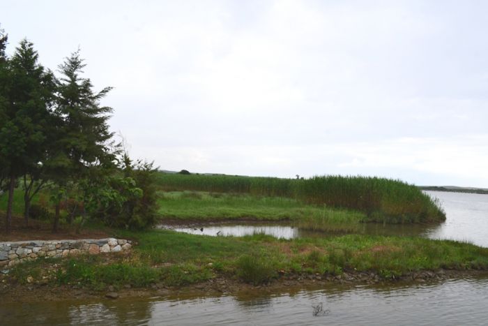 Die Natur kehrt zurück: Im griechischen Thrakien