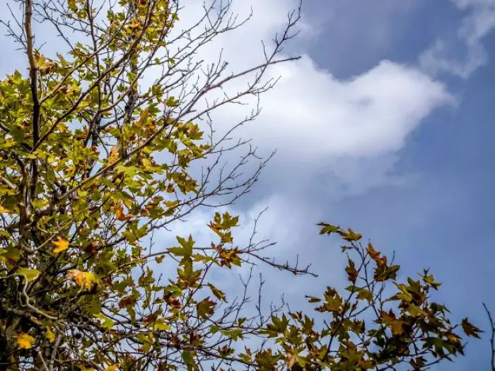 Archivfoto (© Eurokinissi)