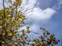 Archivfoto (© Eurokinissi)