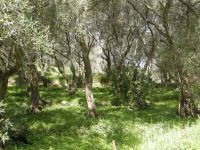 Dritt-Europa-Land? Das darf nicht sein!