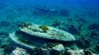 Antiker Großbau bei Zakynthos unter Wasser entdeckt 