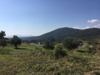 Foto ©Andreas Dengler /Griechenland Zeitung /Messina