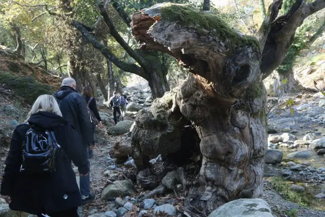 Unser Archivfoto (© Eurokinissi) entstand während einer Wanderung in Griechenland.