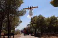 Das Foto zeigt Brände in Ost-Attika im Gebiet von Keratea (© eurokinissi)