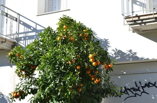 Foto (© Griechenland Zeitung / Jan Hübel): Athen