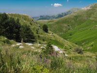 Foto: © Harald Gatter