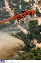 Leasing von Löschflugzeugen wäre kostengünstiger 