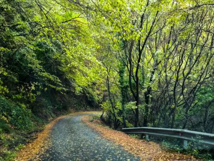 Foto (© Eurokinissi)