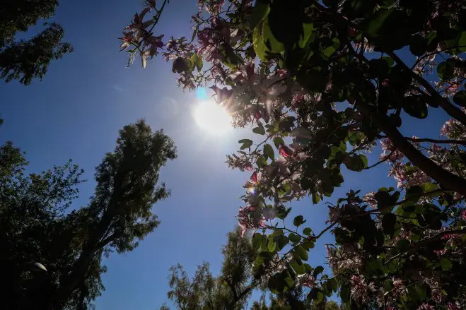 Warmer Wochenstart in Hellas