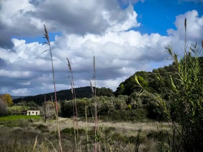 Foto (© Eurokinissi)