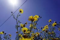 Foto (© Eurokinissi)