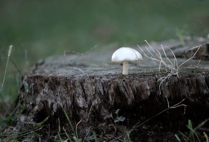 Archivfotos (©Eurokinissi)