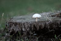 Archivfotos (©Eurokinissi)