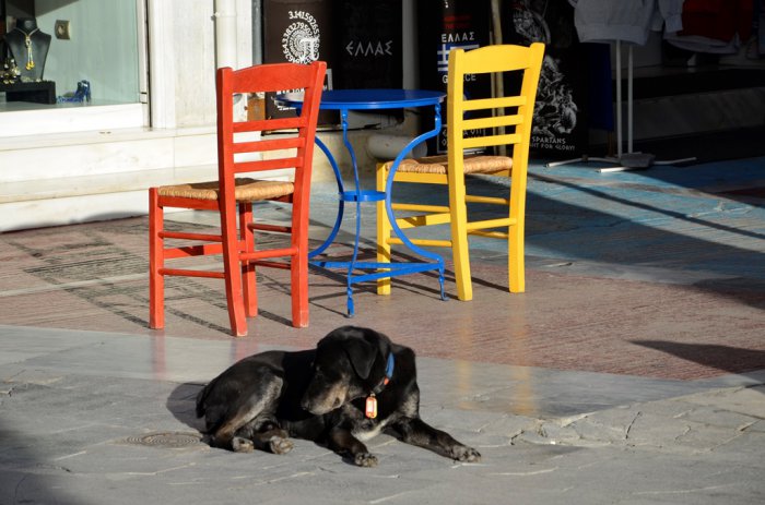 Unser Foto (© Griechenland Zeitung / Jan Hübel) entstand im Athener Zentrum.