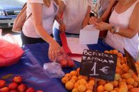 Exportschlager Zitronen: Früchteausfuhr im Aufwärtstrend 