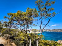 Foto (© Eurokinissi)