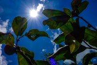 Foto (© Eurokinissi)