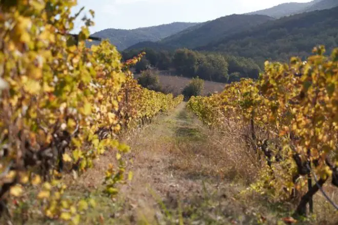 Landschaft in der Region Imathia (Foto: ©Eurokinissi)