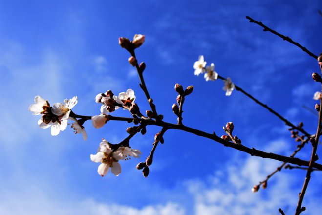 Foto (© Eurokinissi): Heute wird es frühlingshaft!