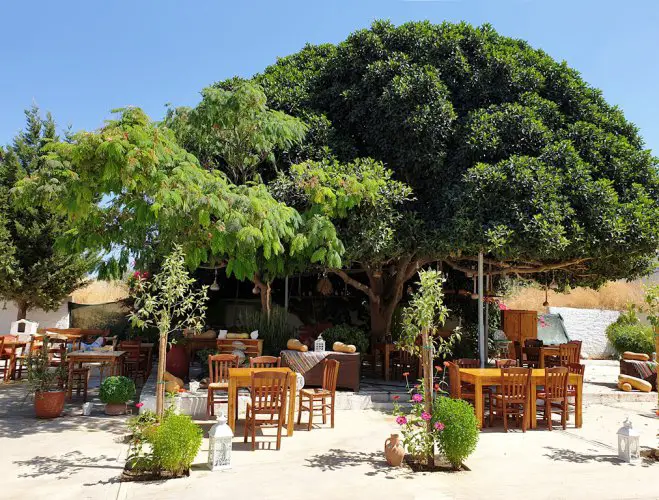 Foto © Marita Gehrt