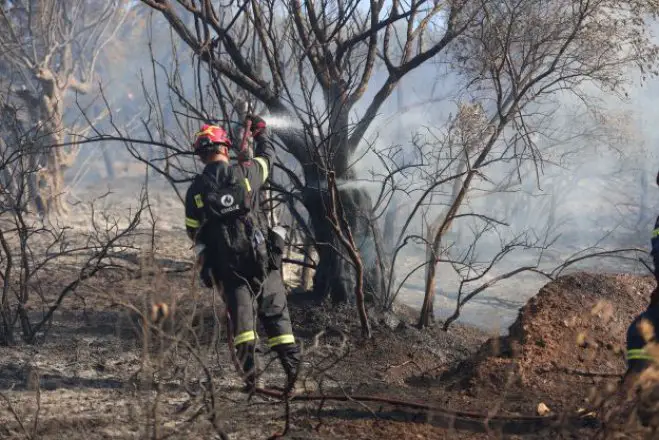 Unser Foto (© Eurokinissi) entstand bei dem Brand in Peania.