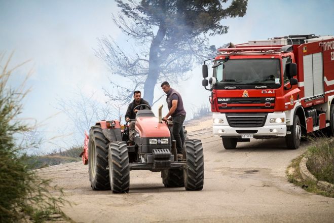 Unsere Fotos (© Eurokinissi) entstanden bei der Waldbrandbekämpfung in Frixa (Peloponnes).