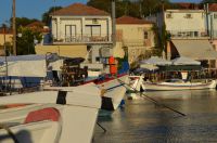 Unser Archivfoto (©Griechenland Zeitung/Jan Hübel) entstand auf Lesbos. 