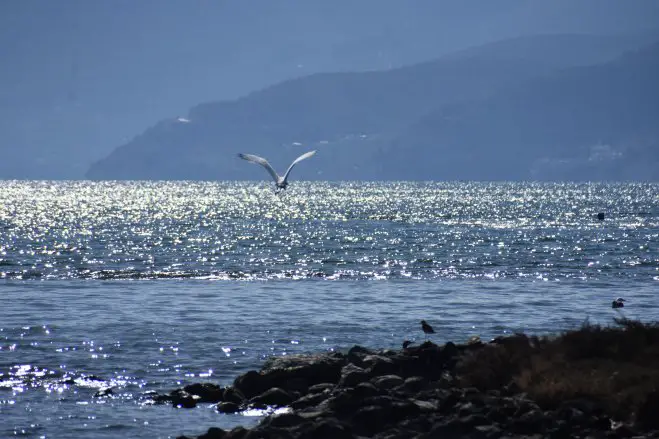 Foto (© Eurokinissi)